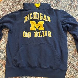 Michigan Hoodie